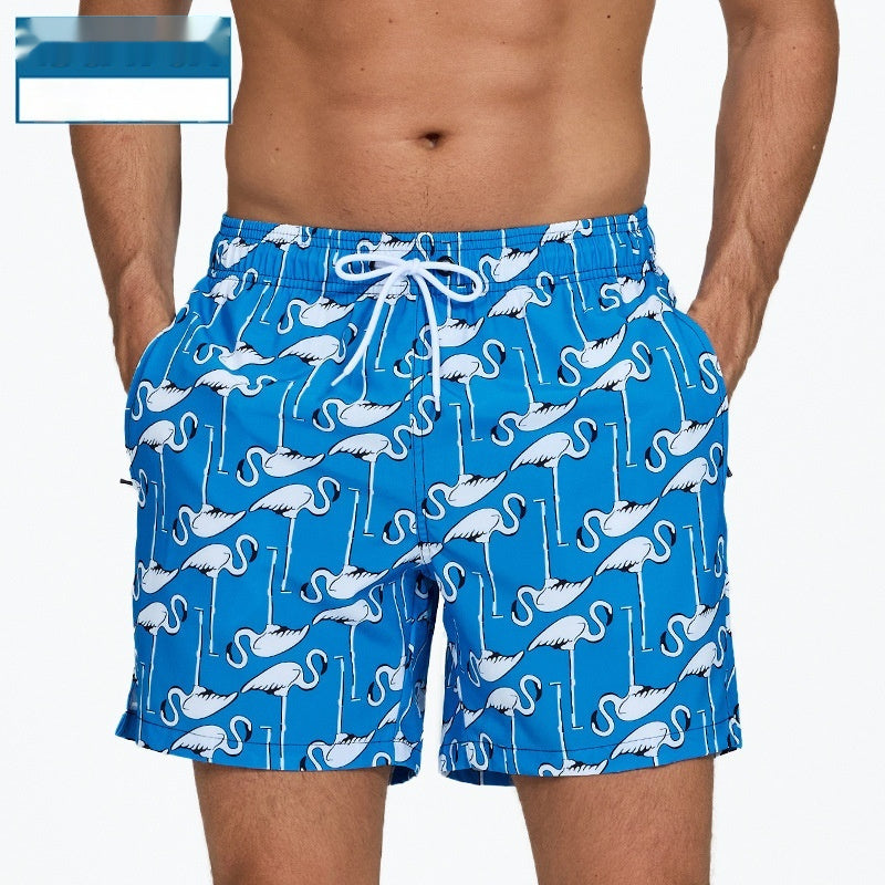 Aven Coastal Swim Shorts